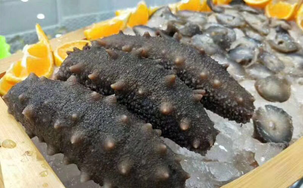 長島野生老頭參不同烹飪方式