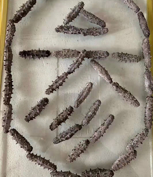 長島野生海參品質(zhì)到底怎么樣